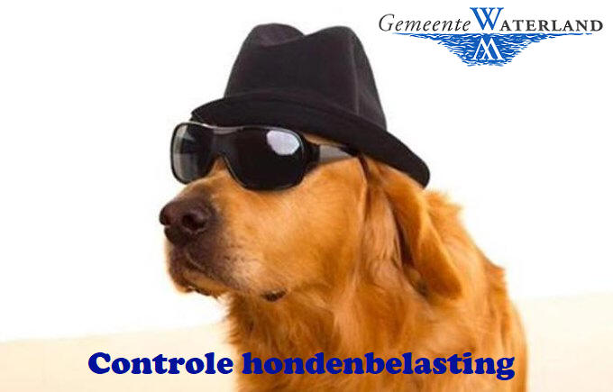 Controle hondenbelasting in de gemeente Waterland
