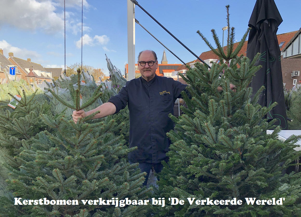Kerstbomen verkrijgbaar bij 'De Verkeerde Wereld'