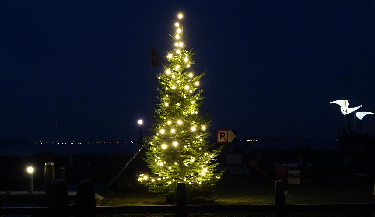 Kerstboom aan de haven op Marken