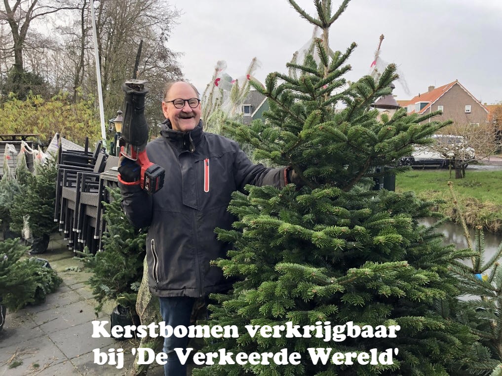 Kerstbomen verkrijgbaar bij 'De Verkeerde Wereld'