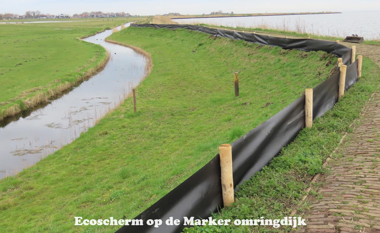 Ecoscherm op de Marker omringdijk