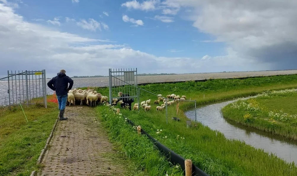 Beheer en Onderhoud Omringkade Marken