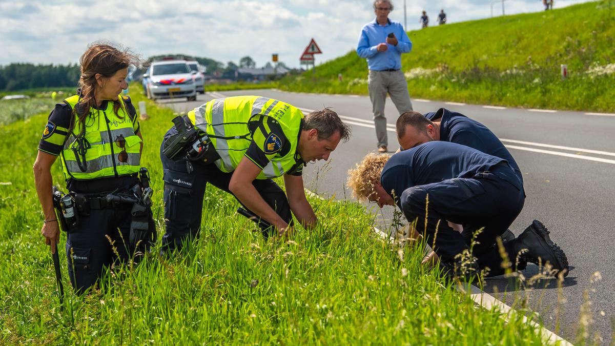 Nabestaanden doodgereden Markense Tamar blijven verzekerd van kosteloze rechtsbijstand