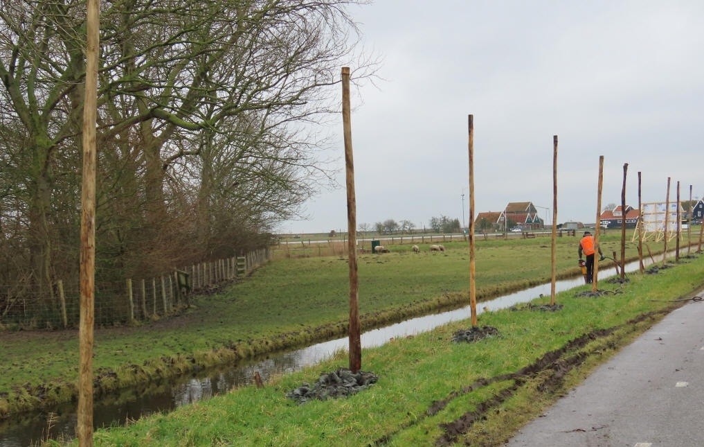 Start aanleg vleermuisschermen langs de Walandweg