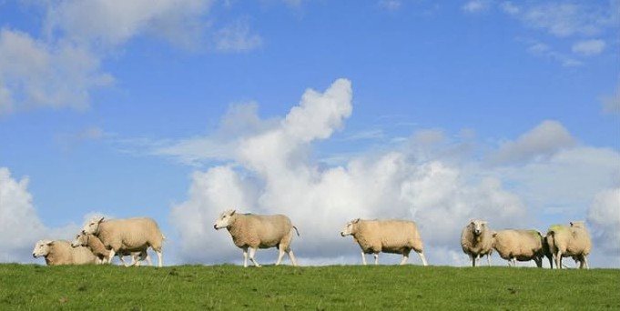 Dit is een  bericht voor alle kinderen, jongeren en ouderen die de bukdijk (nieuwe dijk) bezoeken.