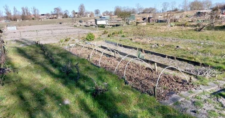 Volkstuin aan de Oostzai te huur