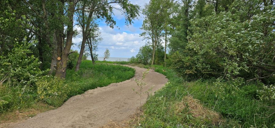 Vorderingen dijkversterking Marken: aanleg vogelkijkhut van start