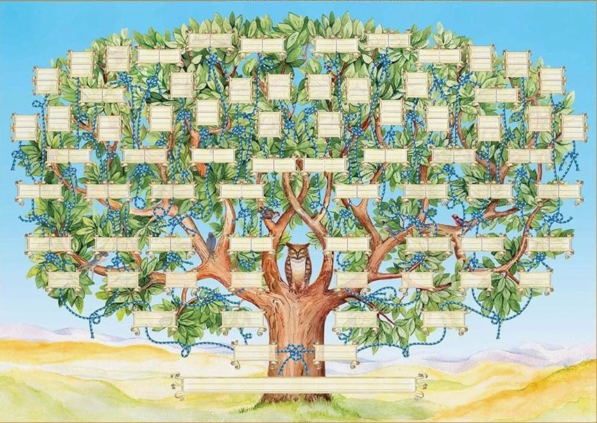 Er is weer een schenking ontvangen!