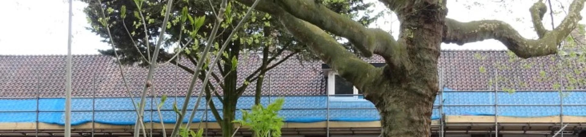 Faillissementsaanvraag "Winst uit je woning"