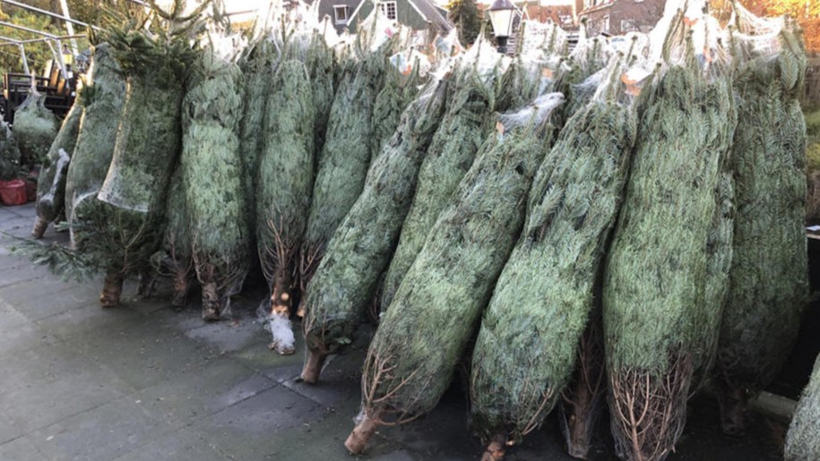 26 november start verkoop kerstbomen bij 'De Verkeerde Wereld'